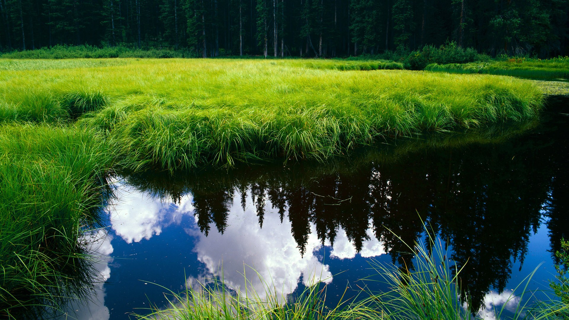 弗鲁米嫩塞中场安德烈转会至意甲球队,挑战欧洲赛场,弗鲁米嫩塞对米竞技