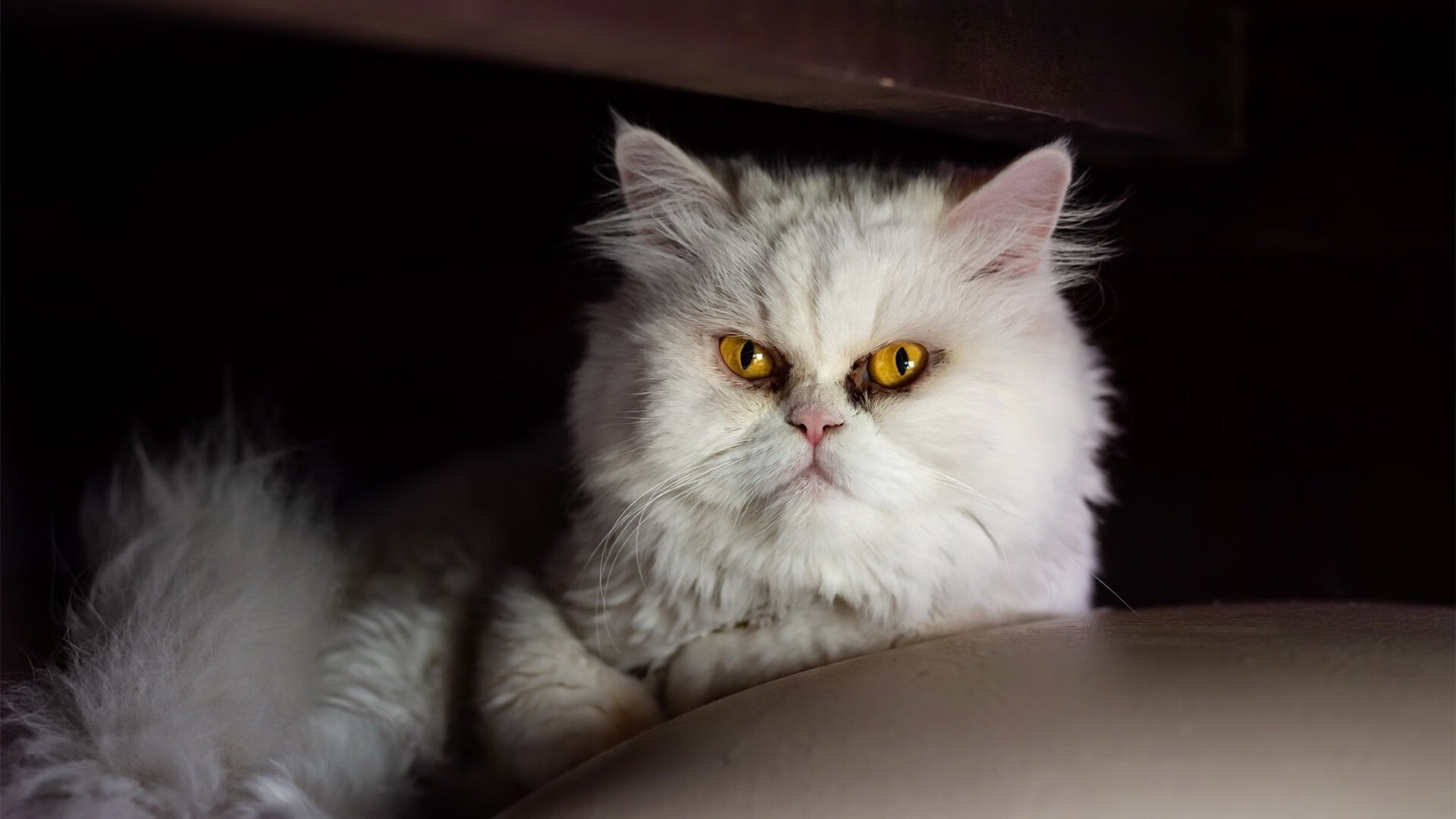 九游博彩-_水上漂浮运动盛典：在水面上演速度与激情_，水上漂浮物有哪些物品